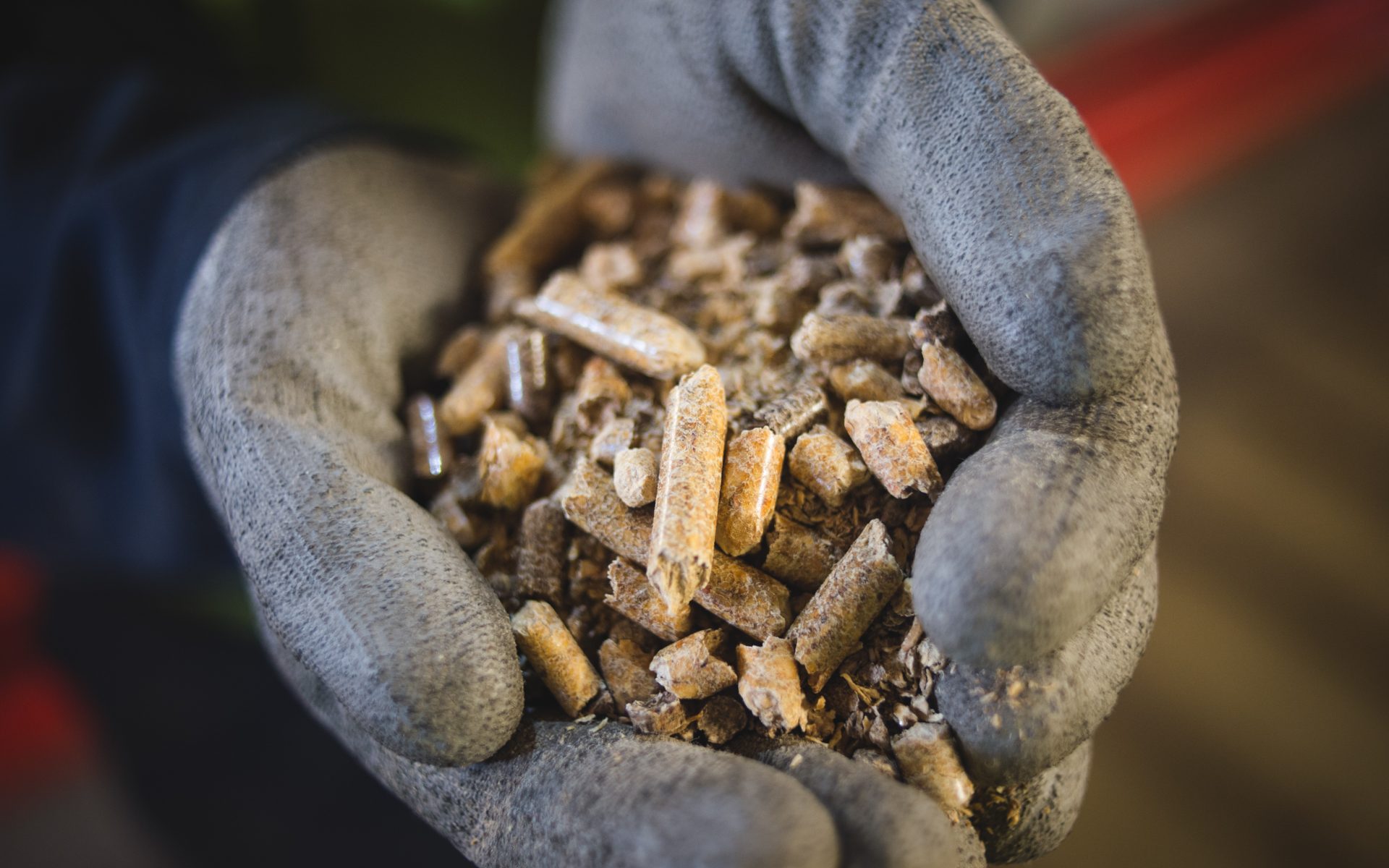 This Is How You Make A Biomass Wood Pellet Drax