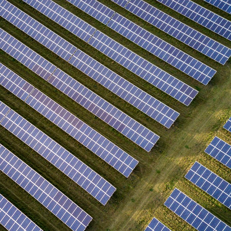 Field of solar panels shot from above