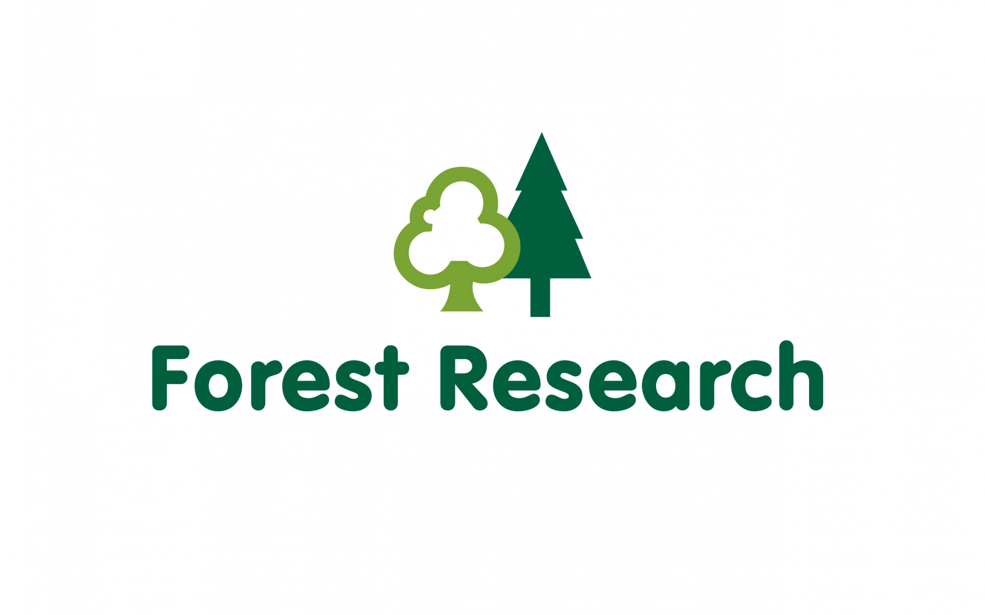 research paper on forest