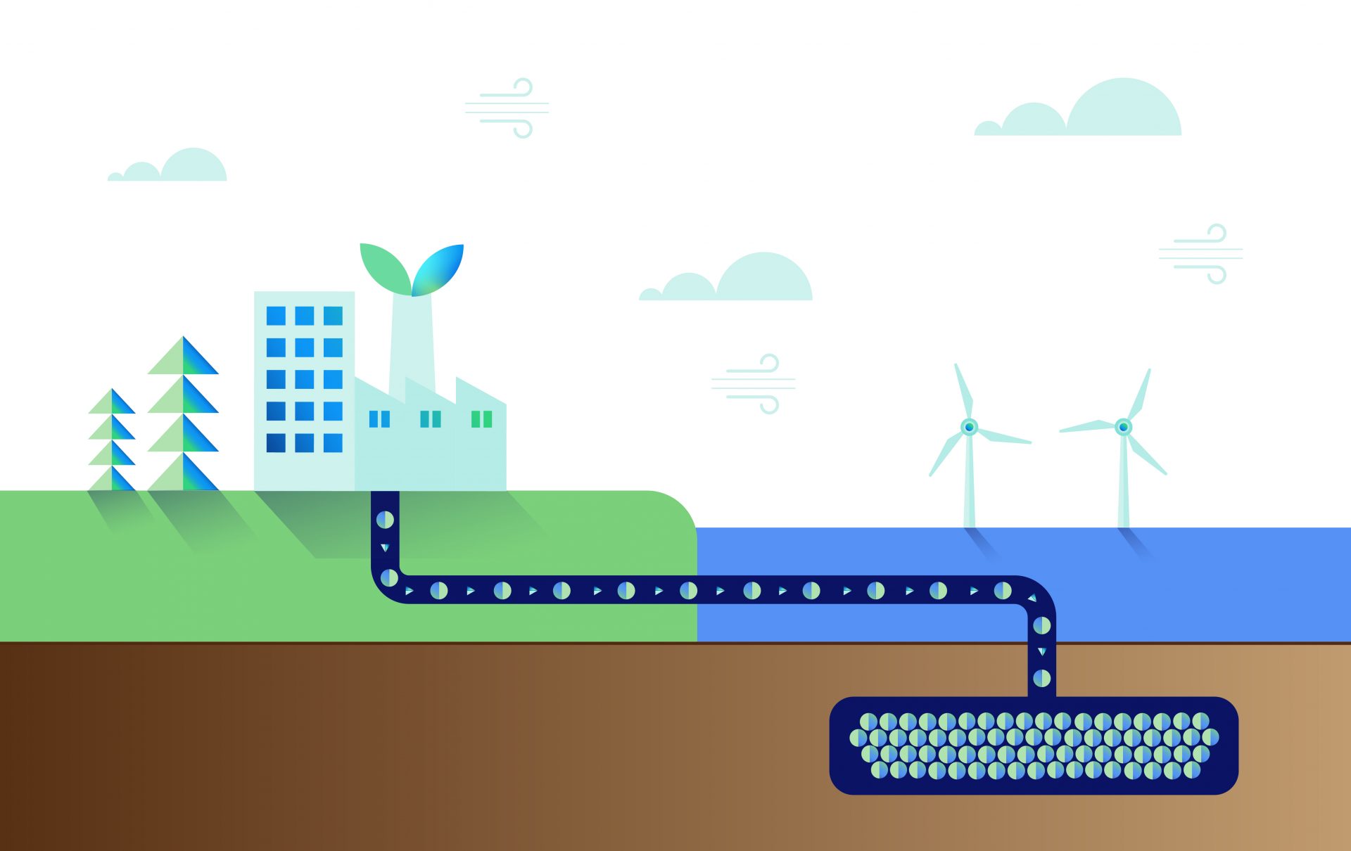 How Is Carbon Stored Both Long And Short Term